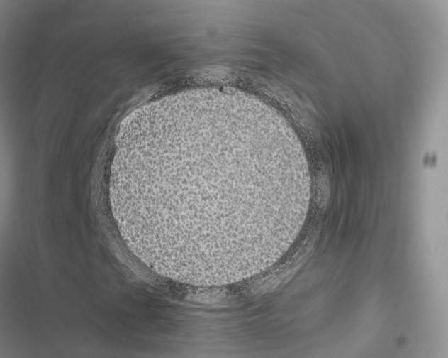 X0000116441201201001191524