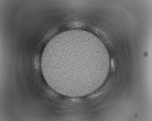 X0000116441203201001191524