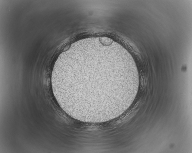 X0000116441204201001191524