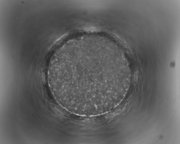 X0000116441205201001191524