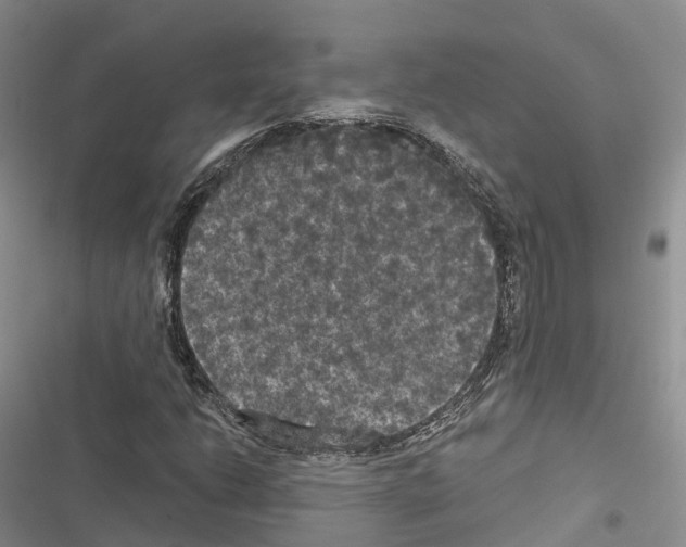 X0000116441206201001191524