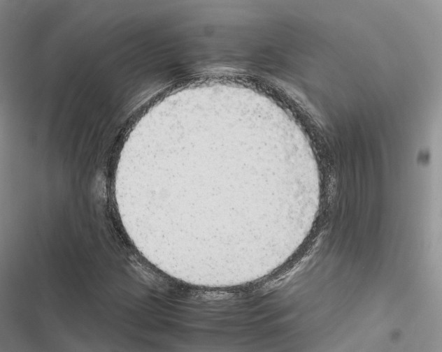 X0000116441209201001191525