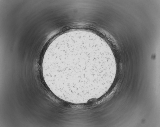 X0000116441210201001191525