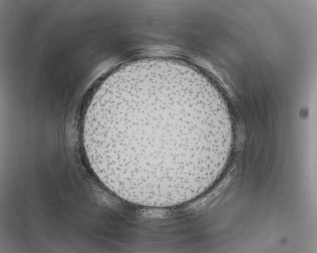 X0000116441211201001191525