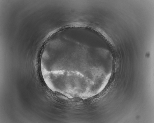 X0000116441213201001191525