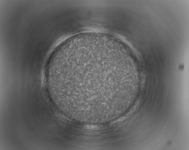 X0000116441215201001191525