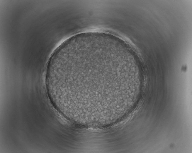 X0000116441216201001191525