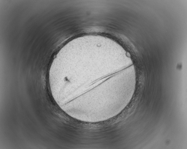 X0000116441217201001191525