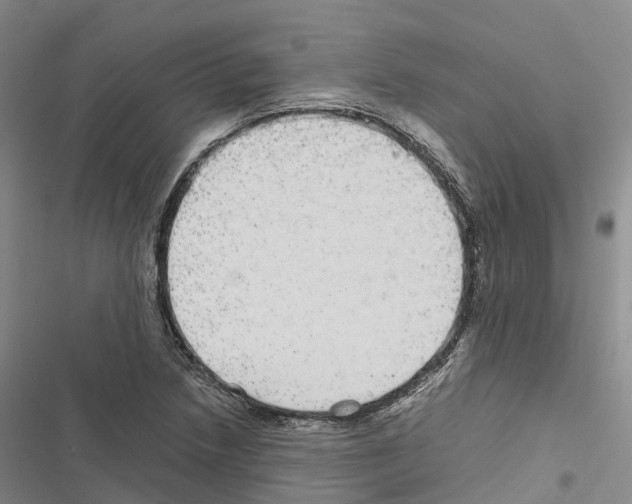 X0000116441218201001191525