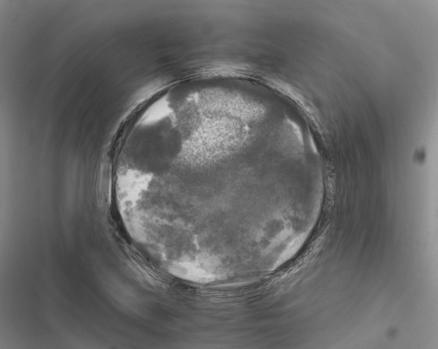 X0000116441219201001191525