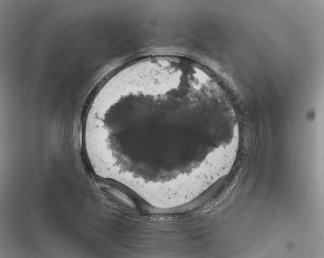 X0000116441221201001191525