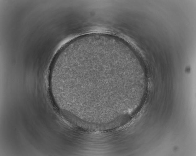 X0000116441222201001191525