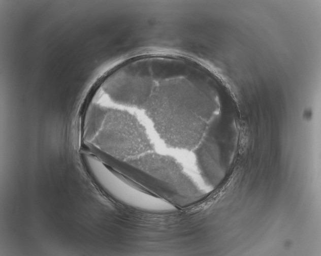 X0000116441223201001191525