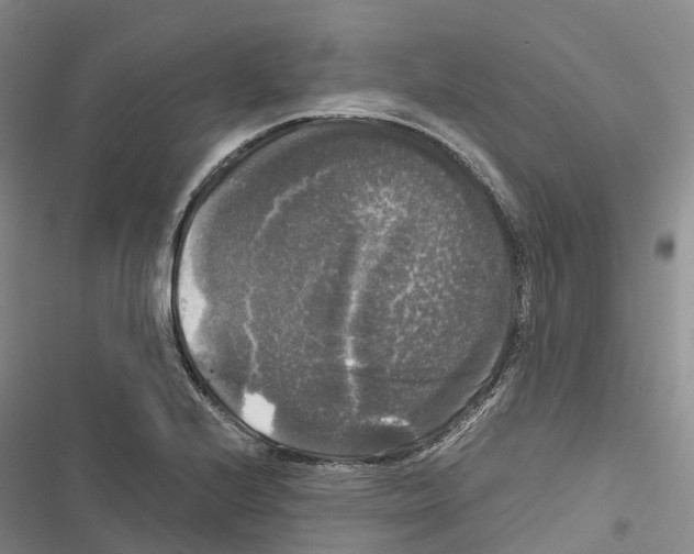 X0000116441224201001191525