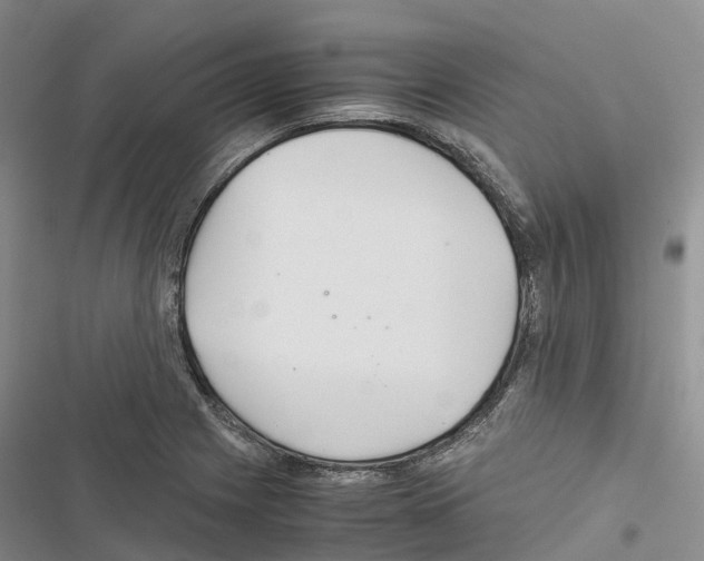 X0000116441225201001191525