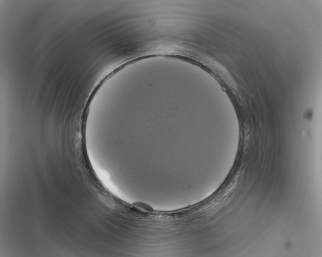 X0000116441226201001191525