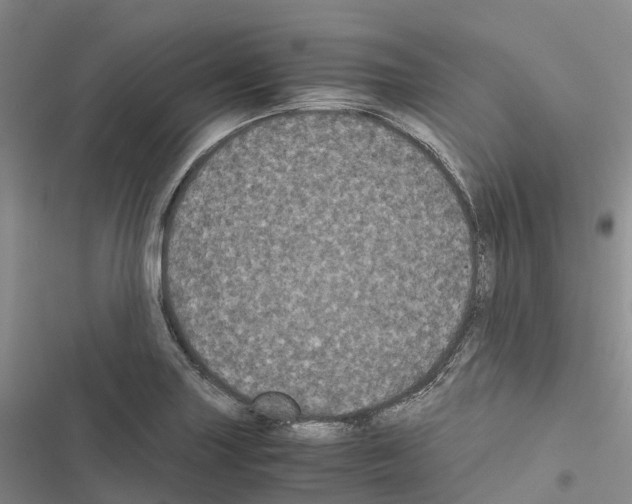 X0000116441227201001191525