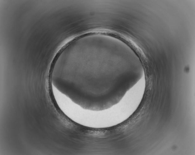 X0000116441229201001191525