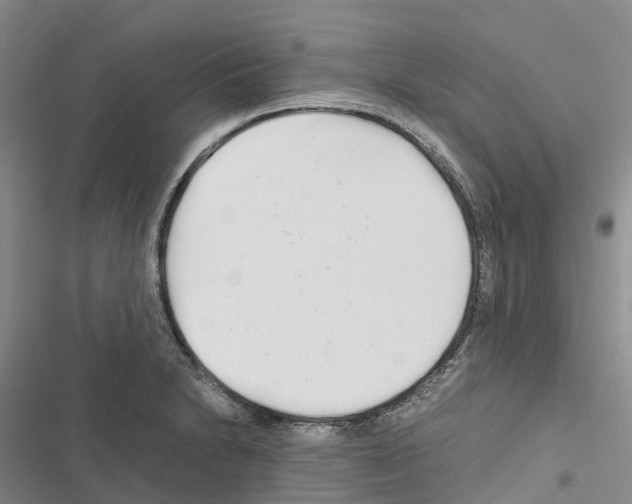 X0000116441230201001191525