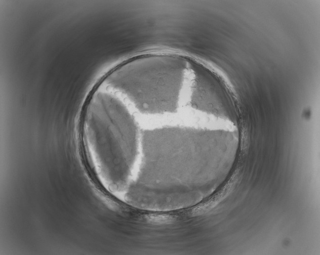 X0000116441231201001191525