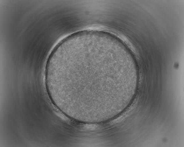 X0000116441232201001191525