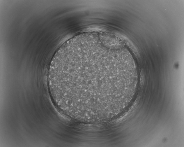 X0000116441233201001191525