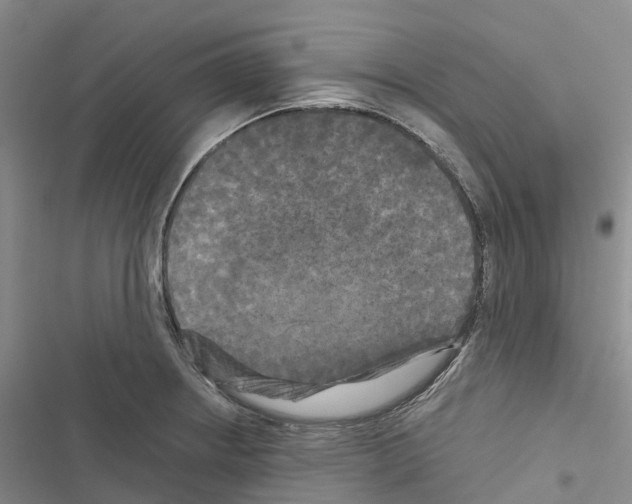 X0000116441234201001191525