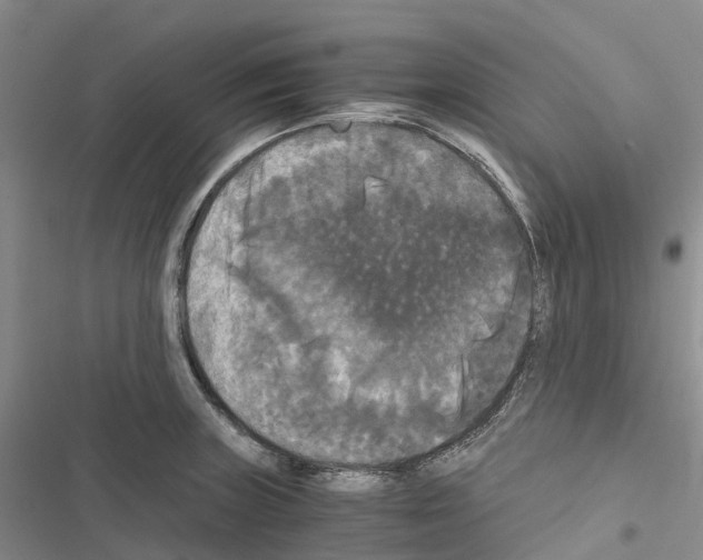 X0000116441235201001191525