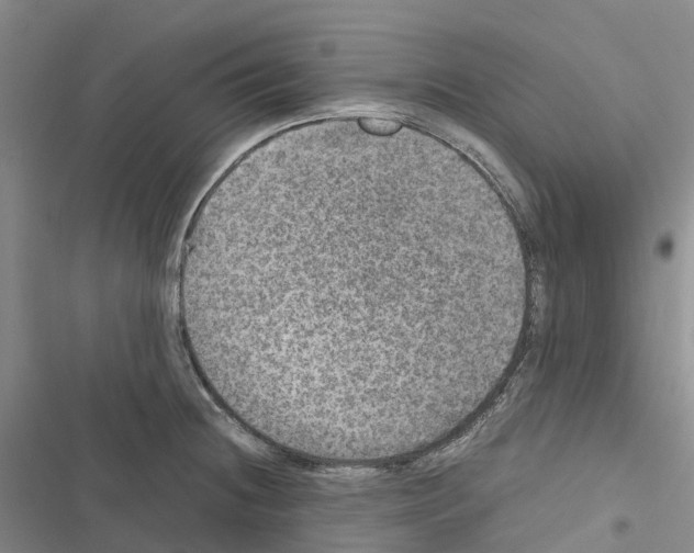 X0000116441236201001191525