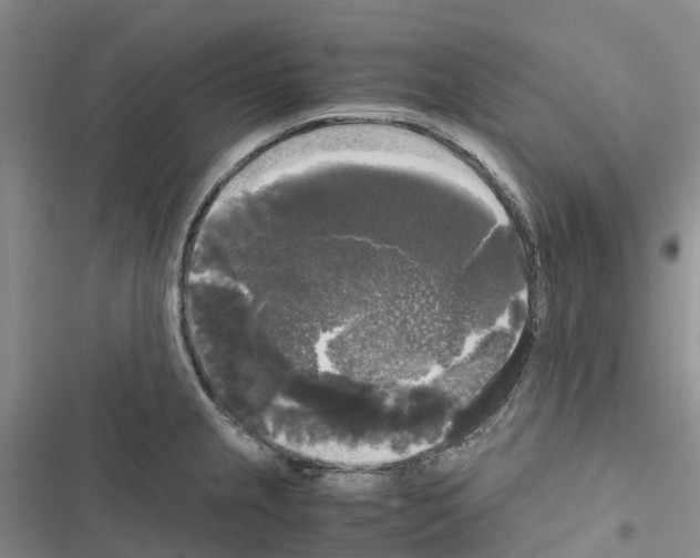 X0000116441237201001191525