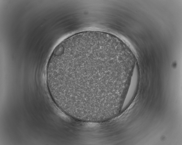 X0000116441238201001191525