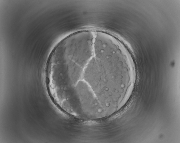 X0000116441239201001191525