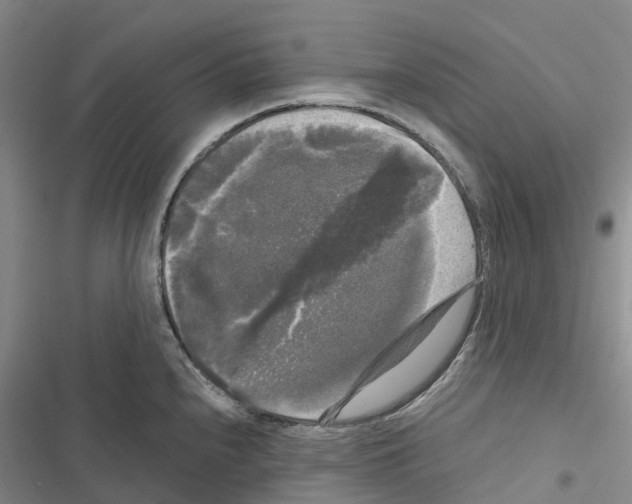 X0000116441240201001191525