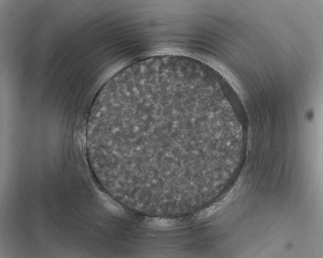 X0000116441241201001191525