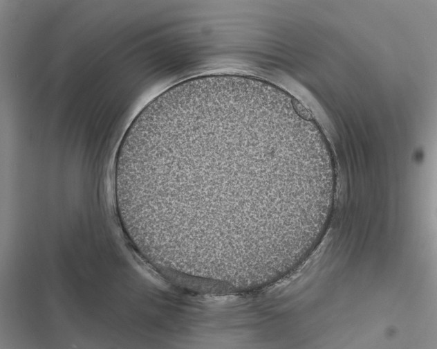 X0000116441242201001191525