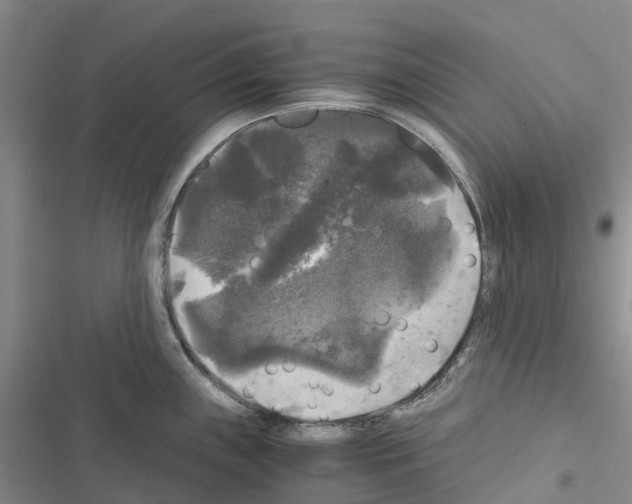 X0000116441243201001191525