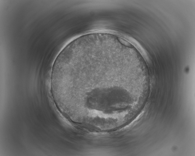 X0000116441244201001191525