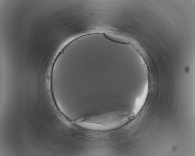 X0000116441246201001191525