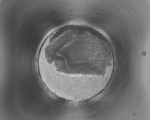 X0000116441248201001191525