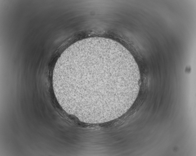 X0000116441250201001191524