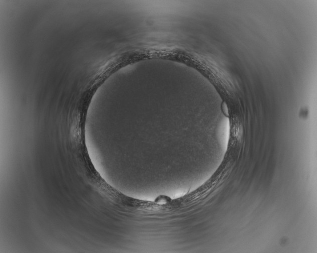 X0000116441252201001191524