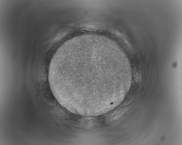 X0000116441253201001191524