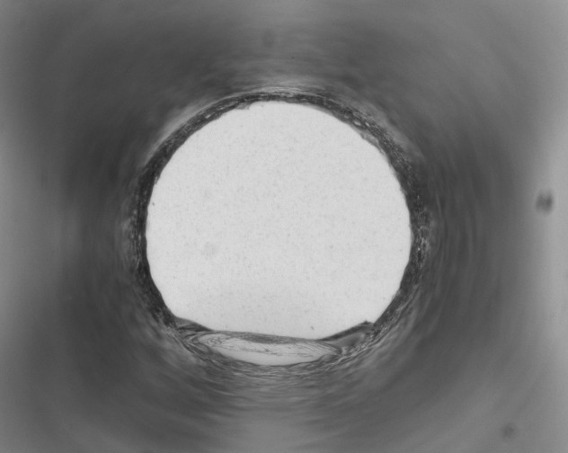 X0000116441256201001191524