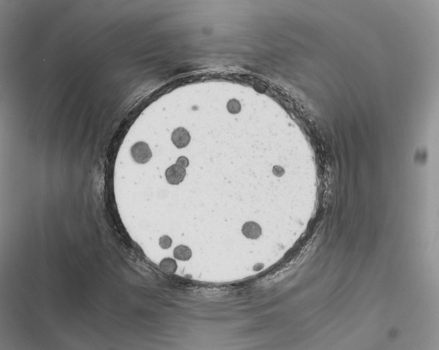 X0000116441257201001191524