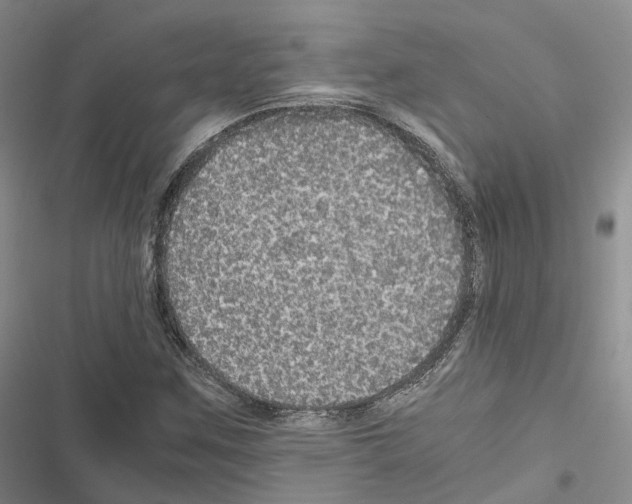 X0000116441259201001191524