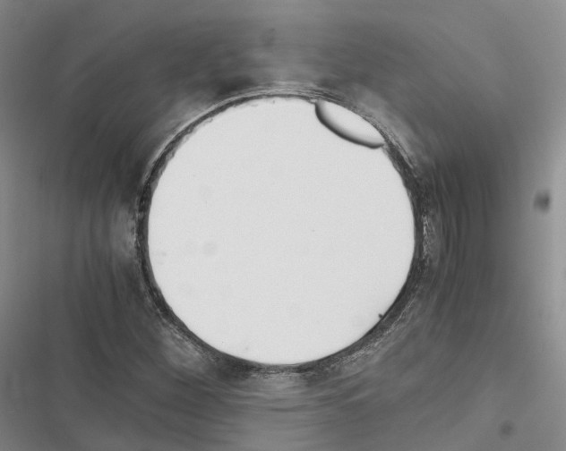 X0000116441260201001191524