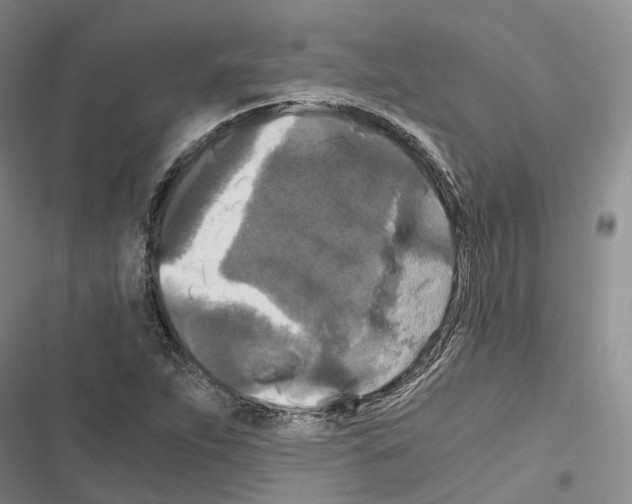 X0000116441263201001191524