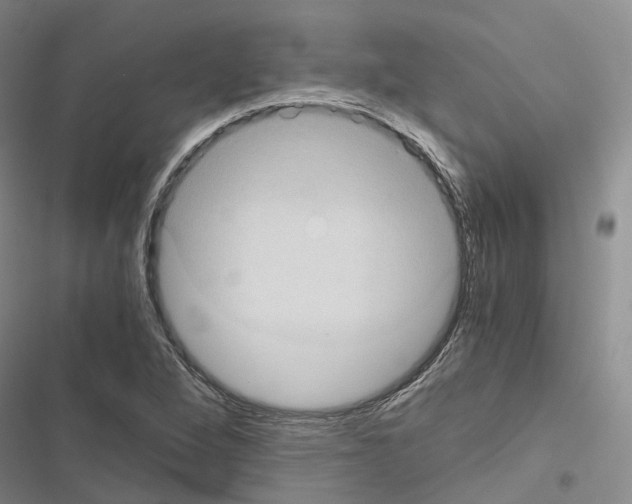 X0000116441264201001191524