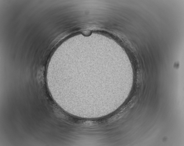 X0000116441265201001191524