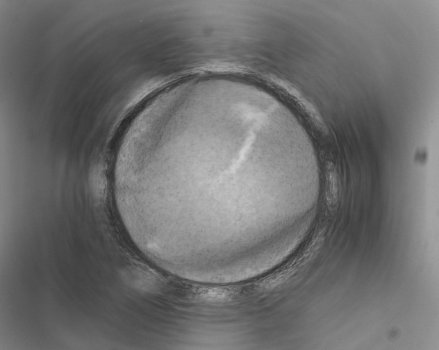 X0000116441266201001191524